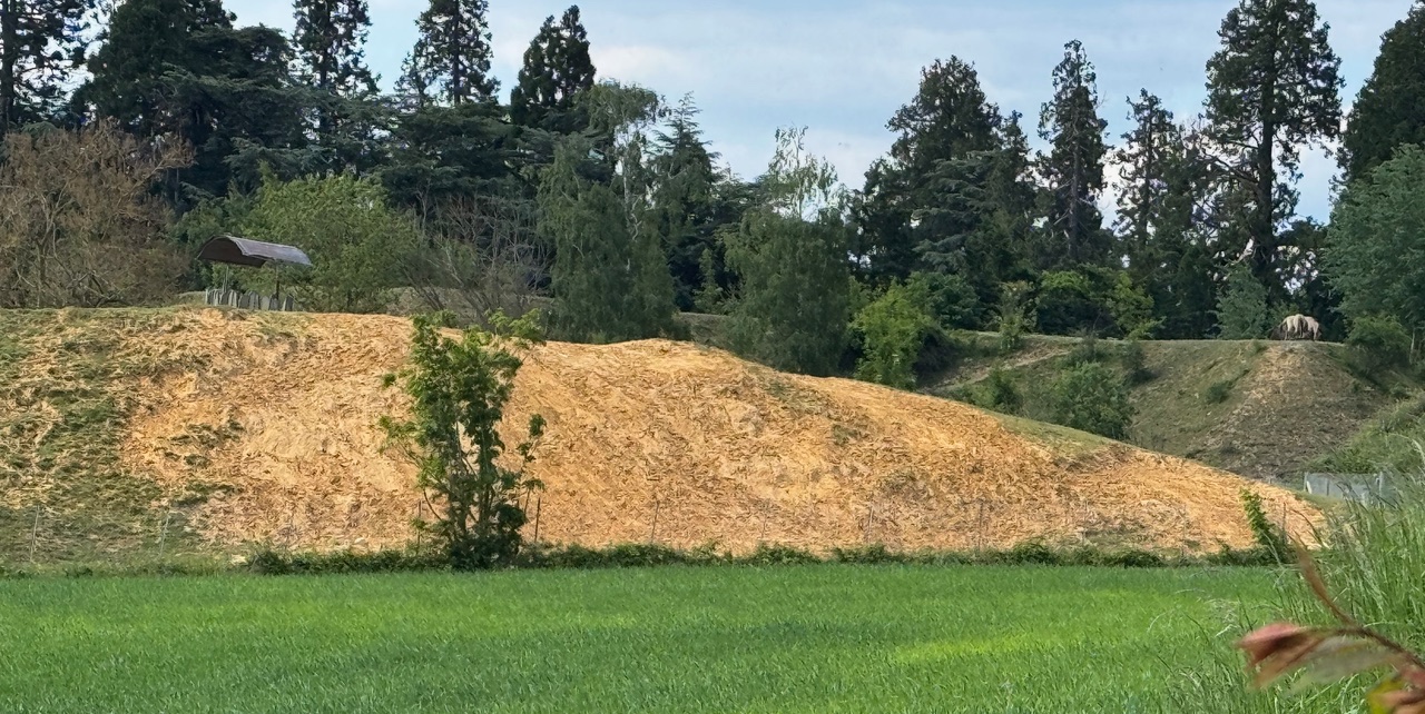 Une butte de 10 ans d'âge au zoo de Thoiry